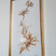 Pair of signed herbarium frames