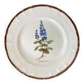 Earthenware plate with botanical decoration, Earthenware of Haute Provence