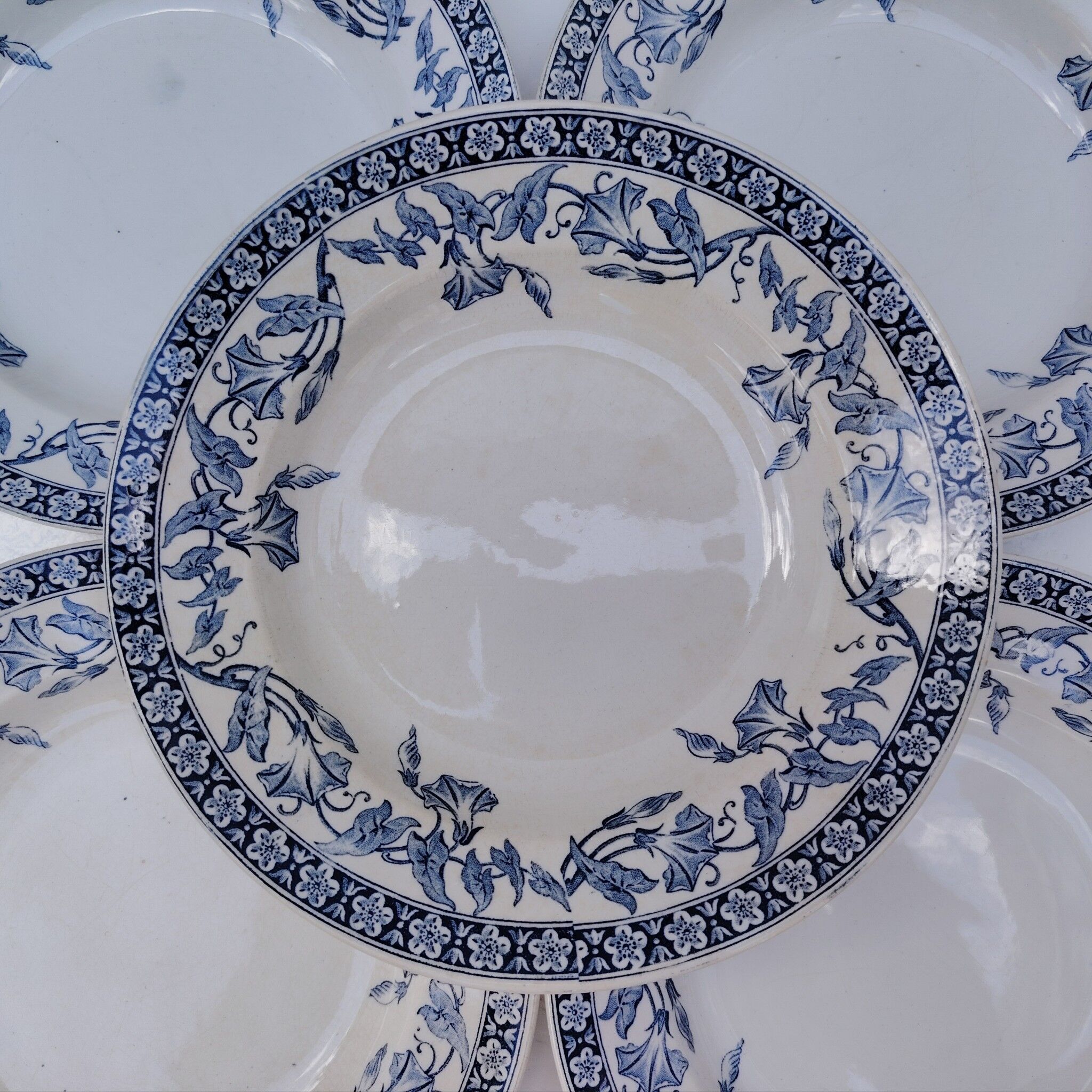 Assiettes creuses, Saint Amand modèle Volubilis, terre de fer
