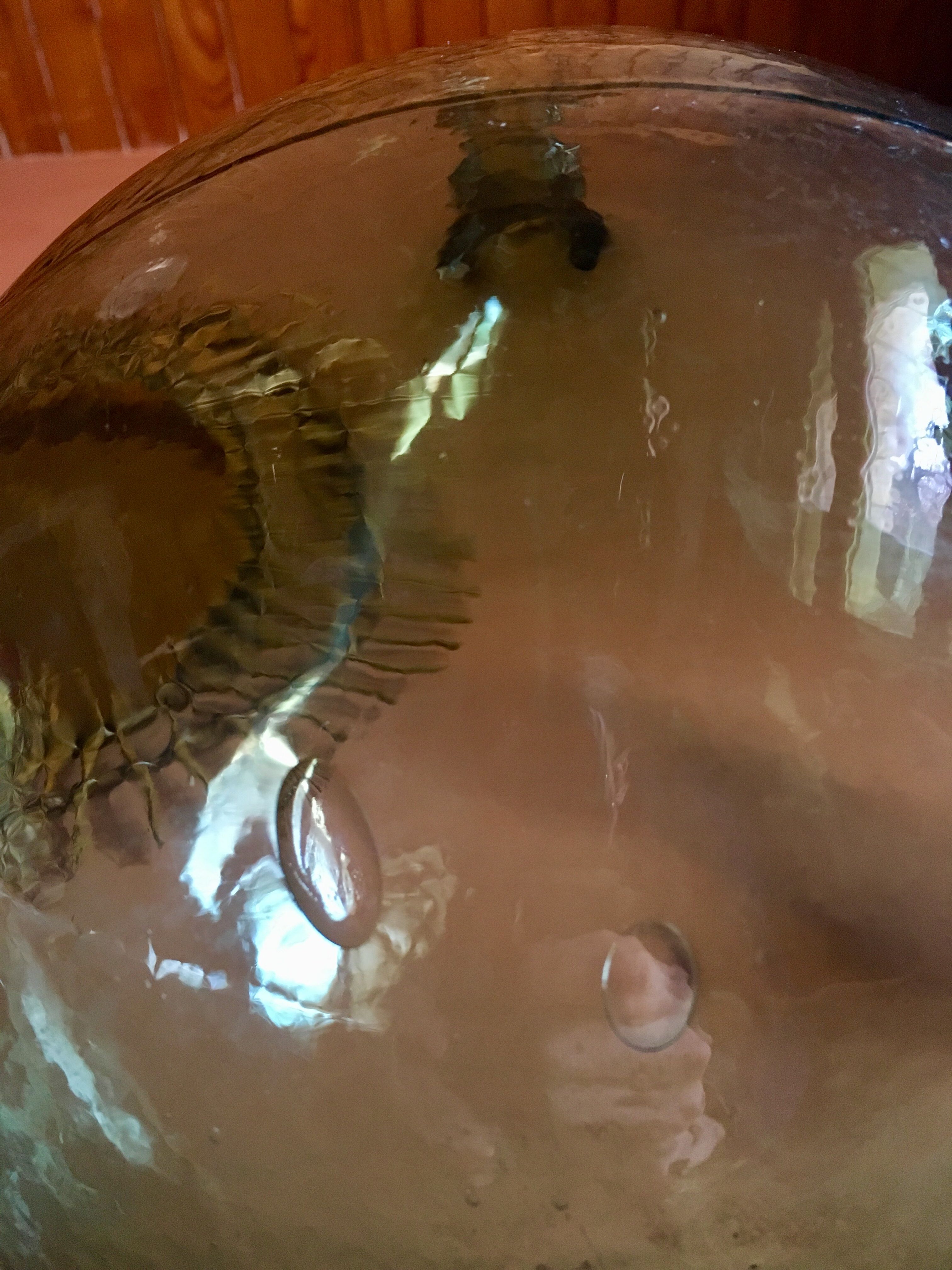 Demijohn 19th 9 litres