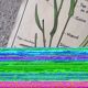 Old MDI school poster: Plants without flowers & Wheat, grasses.