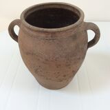 Old planter charentais ear