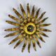 Large French sunburst flower leafed light fixture in gilt metal, 1960s