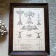 Framed period illustrated plate