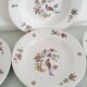 Set of 6 "Bird of Paradise" soup plates from Sarreguemines