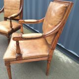 Paire de fauteuils anciens style Louis XVl