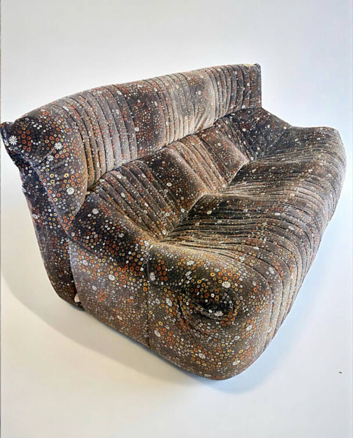 Salon Ariala M. Ducaroy Ligne Roset