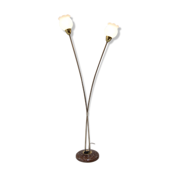 Mid-century Floor Lamp by Kamenicky  Senov,1960’s.