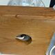 Pair of vintage 80s glass globe table lamps with wooden base
