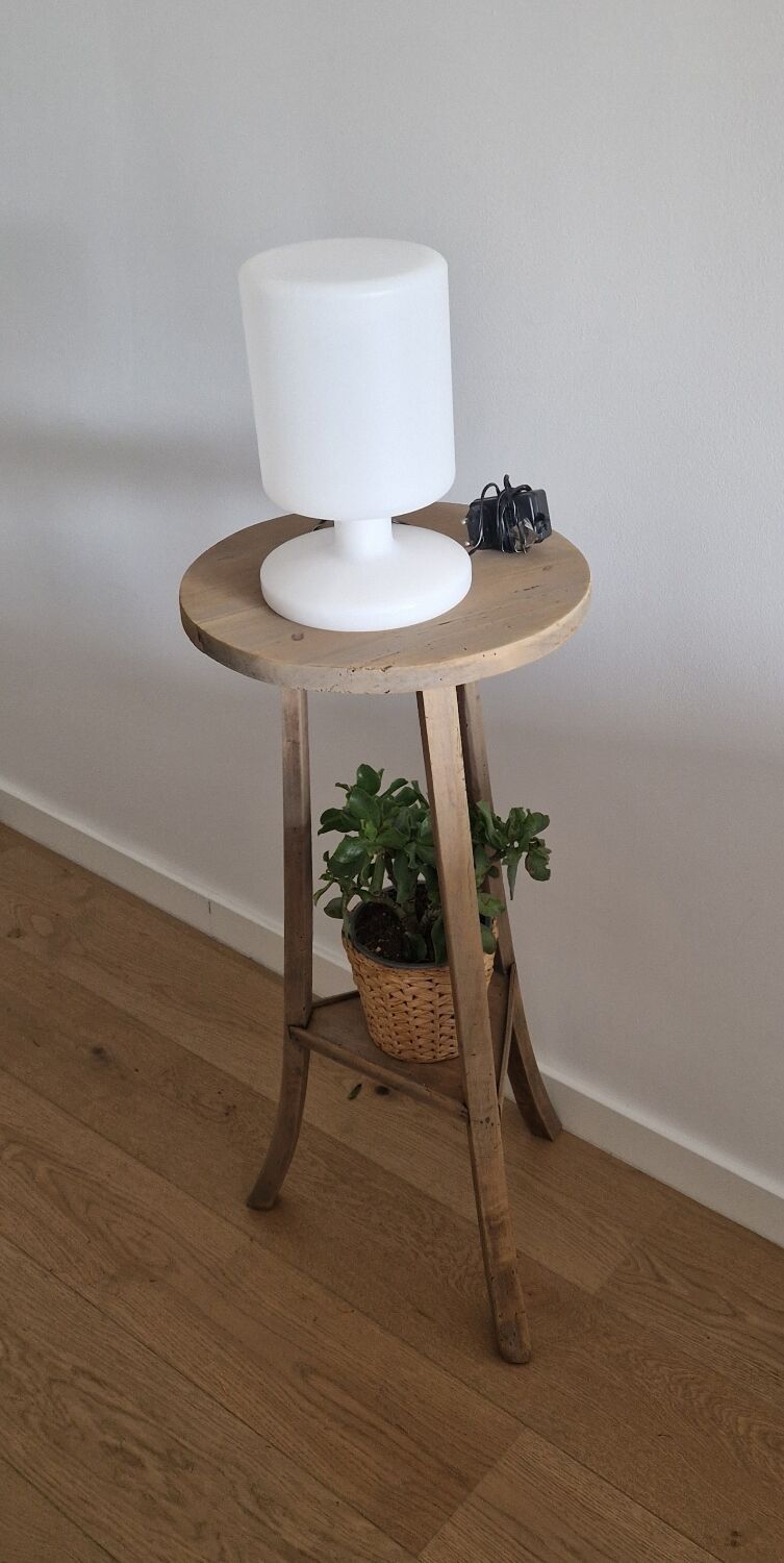 Old pedestal table driftwood