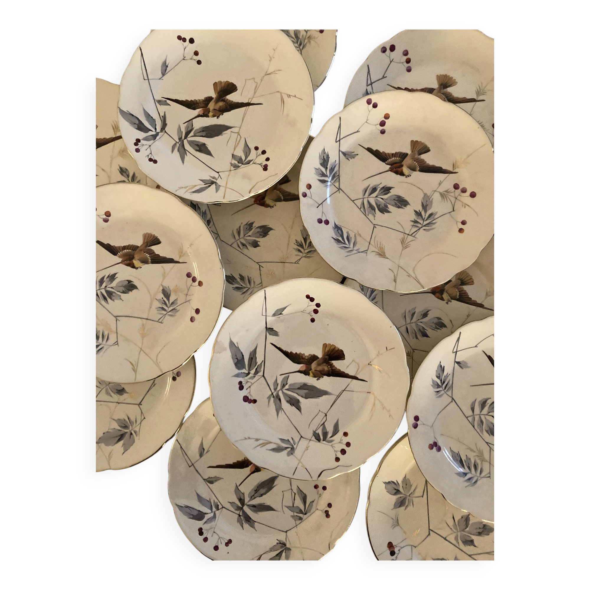 13 decorative plates with hummingbird design in fine earthenware by Mouzin Lecat, 19th century.