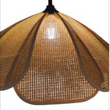 Cane suspension