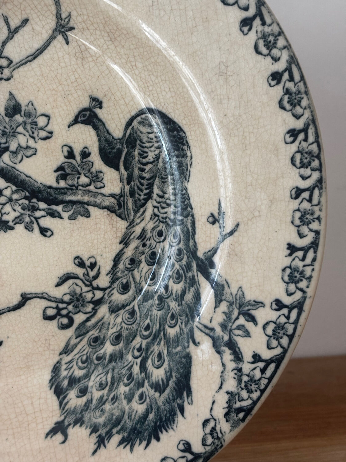 Old hollow plate Gien Terre de Fer Peafowl