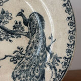 Old hollow plate Gien Terre de Fer Peafowl