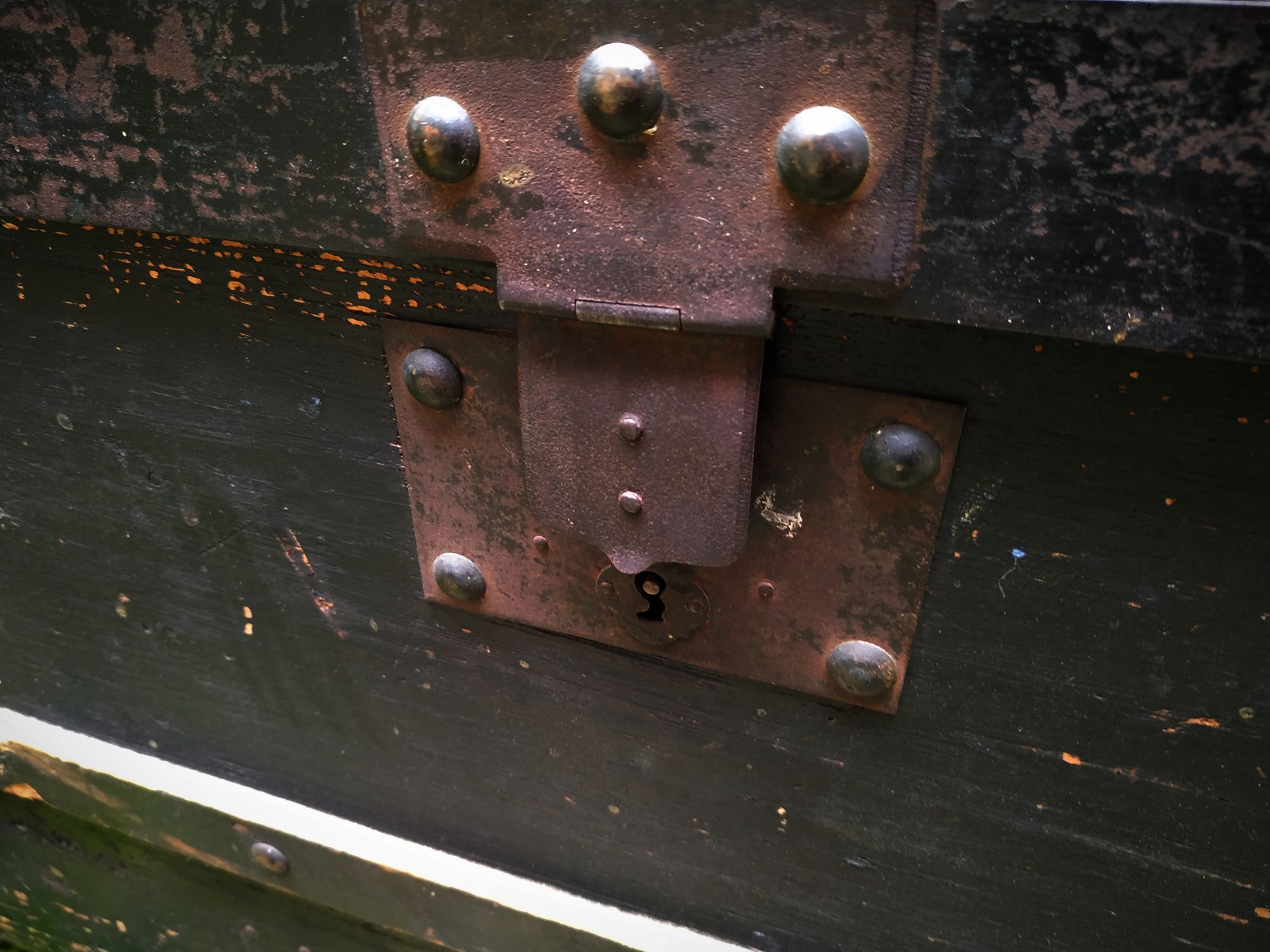 Bulging trunk late nineteenth, L. Meillard, Lyon