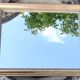 Old little gilded mirror