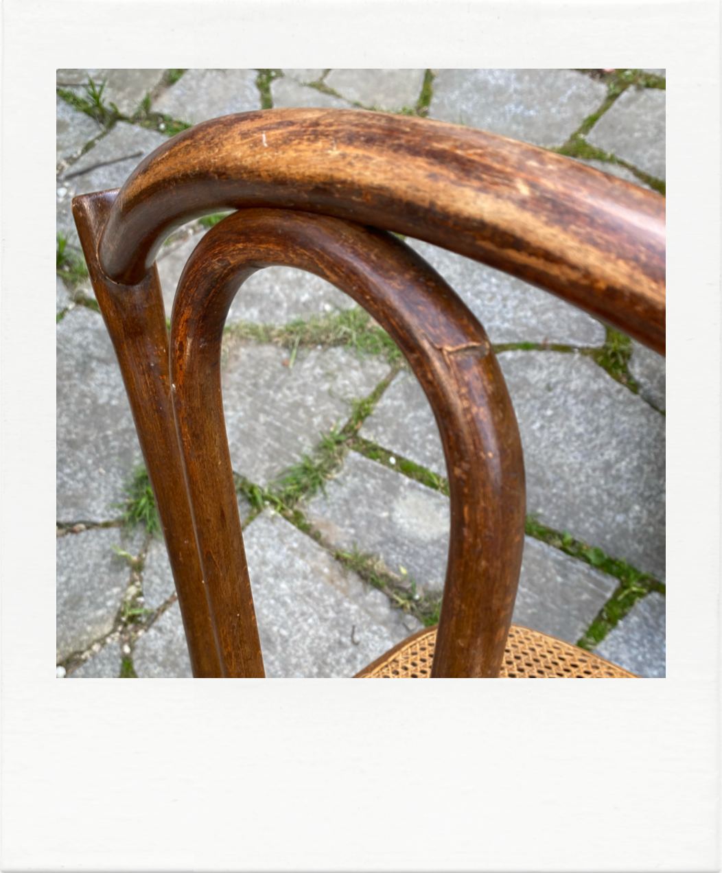 Duo of chairs Thonet bistro