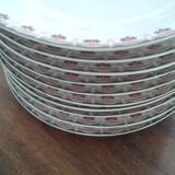 10 Limoges porcelain flat plates