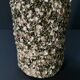 50's shell pitcher signed