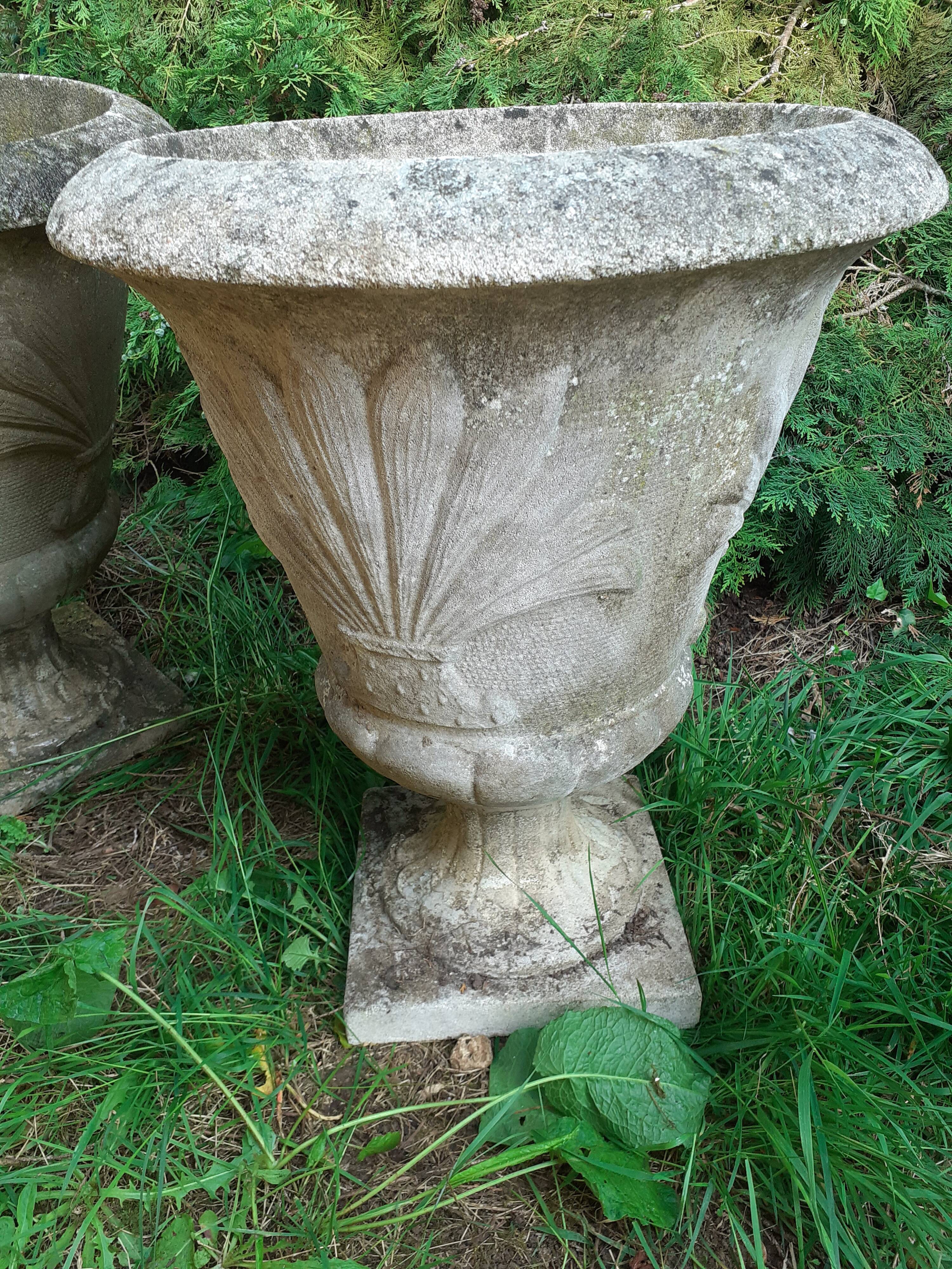 Pair of stone planter medicis
