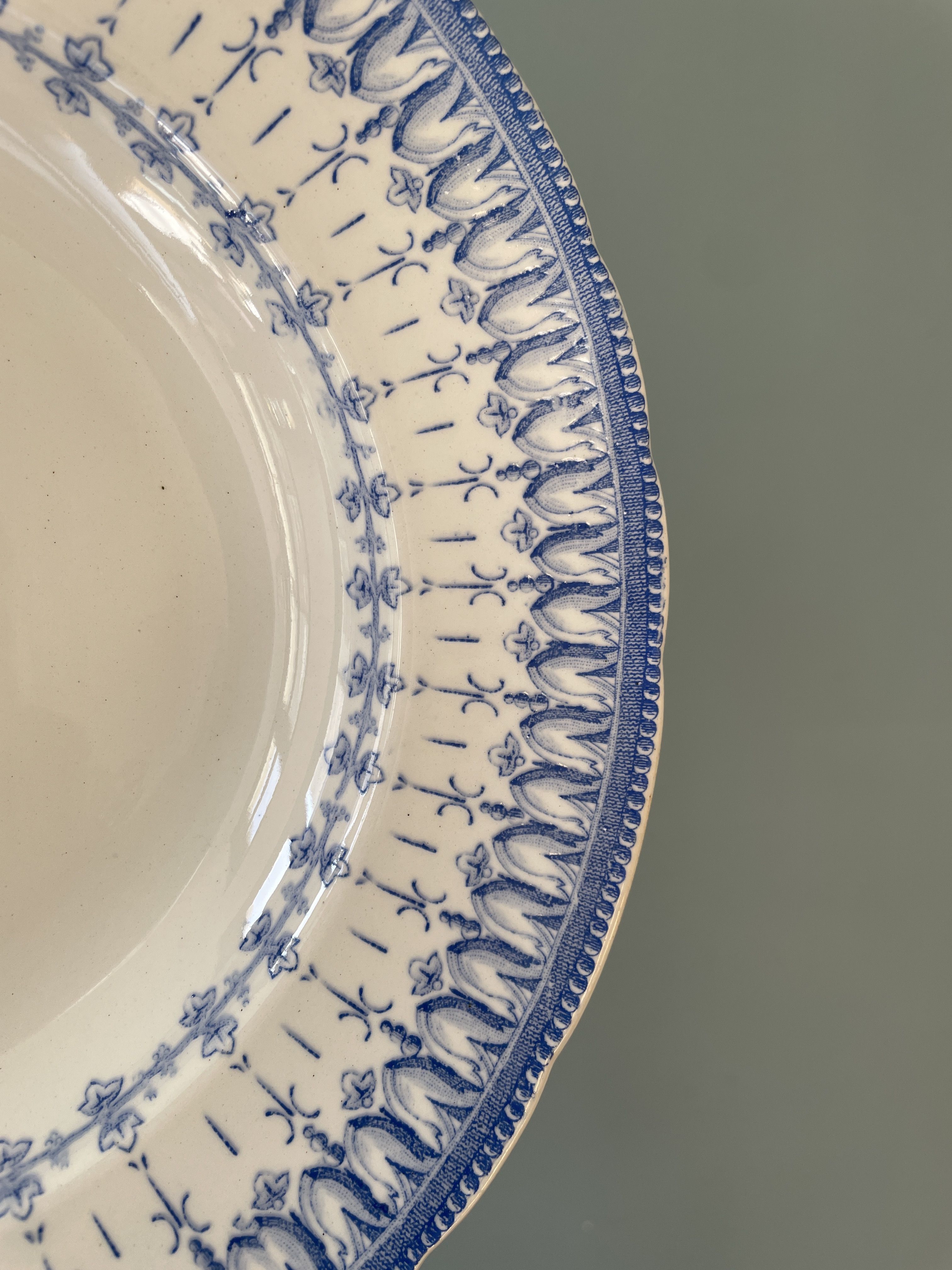Service of 8 hollow plates Flora Rocaille Creil and Montereau