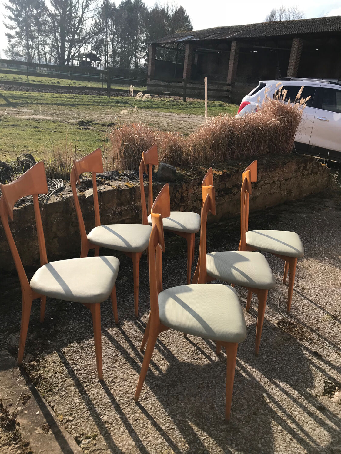 Set of six Ico Parisi chairs