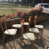 Set of six Ico Parisi chairs