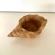Coupelle en bois coquillage