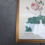 Pink botanical board