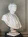 Male bust in white statuary marble, Carrara circa 1900