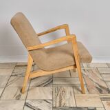 Fauteuil type 300-138 Bystrzyckie Fabryki Mebli 1960 Vintage