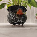 Pot