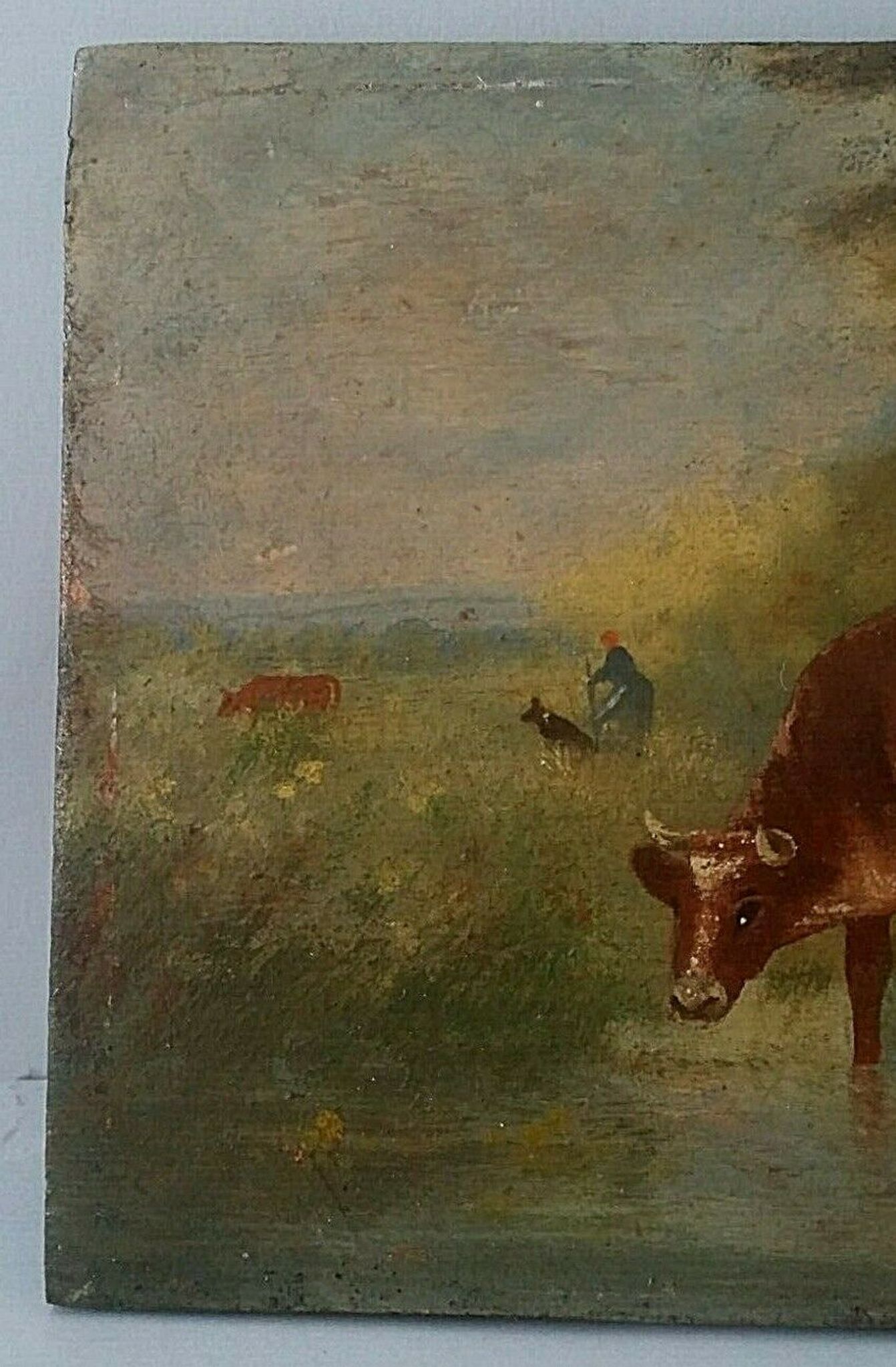 Table oil on panel cows late 19th early 20th century