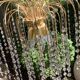 Lustre spider cristal 1970