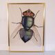 Vintage serigraphy by Anders Osterlin