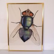 Serigraphie vintage de Anders Osterlin
