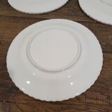 3 Apple Barbotine plates