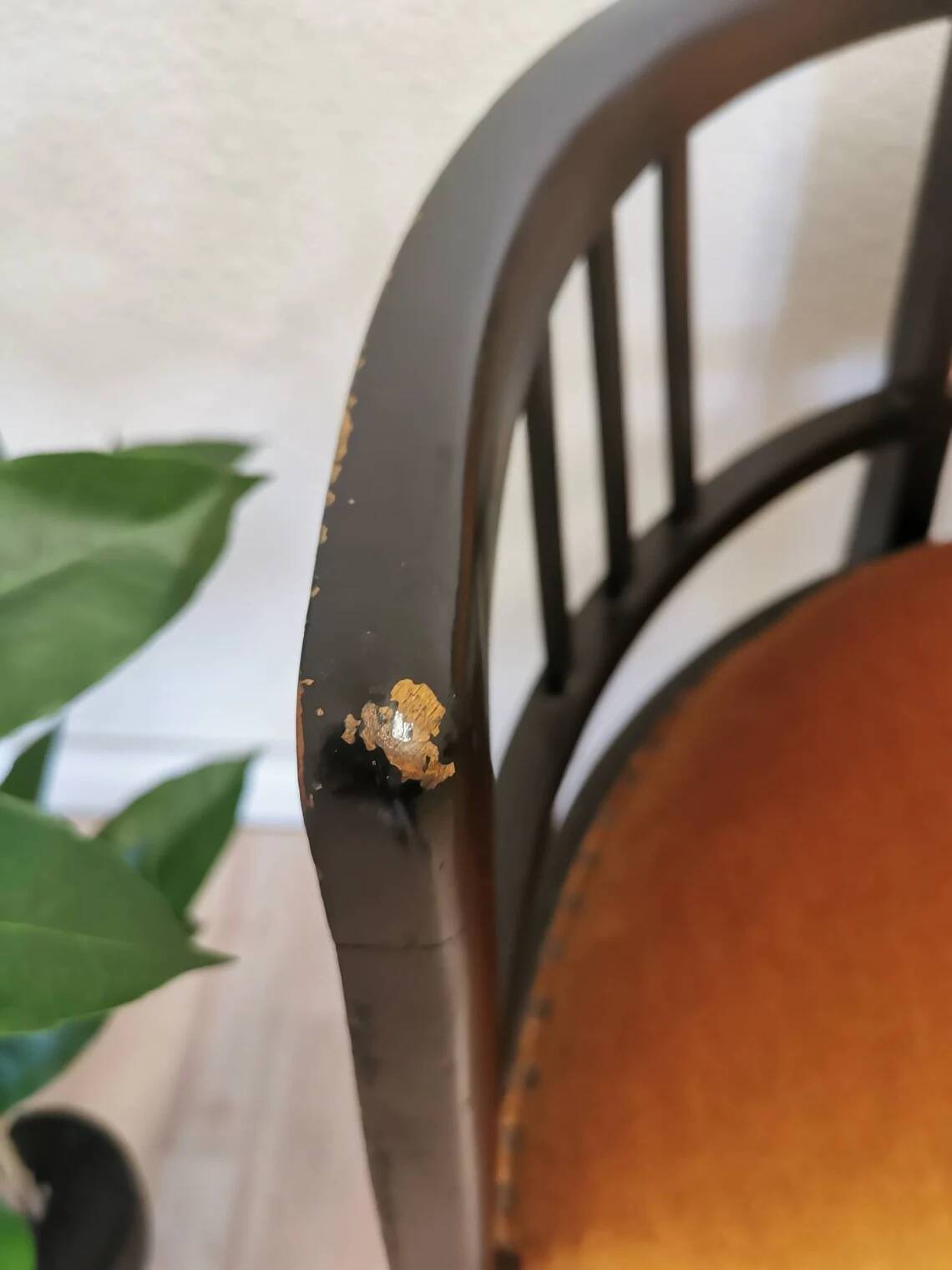 Banc Art Nouveau vintage en bois courbé : assise rembourrée des années 1950