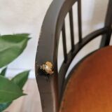 Banc Art Nouveau vintage en bois courbé : assise rembourrée des années 1950