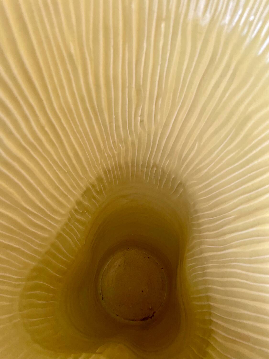 Large ceramic vase by Fernand Elchinger