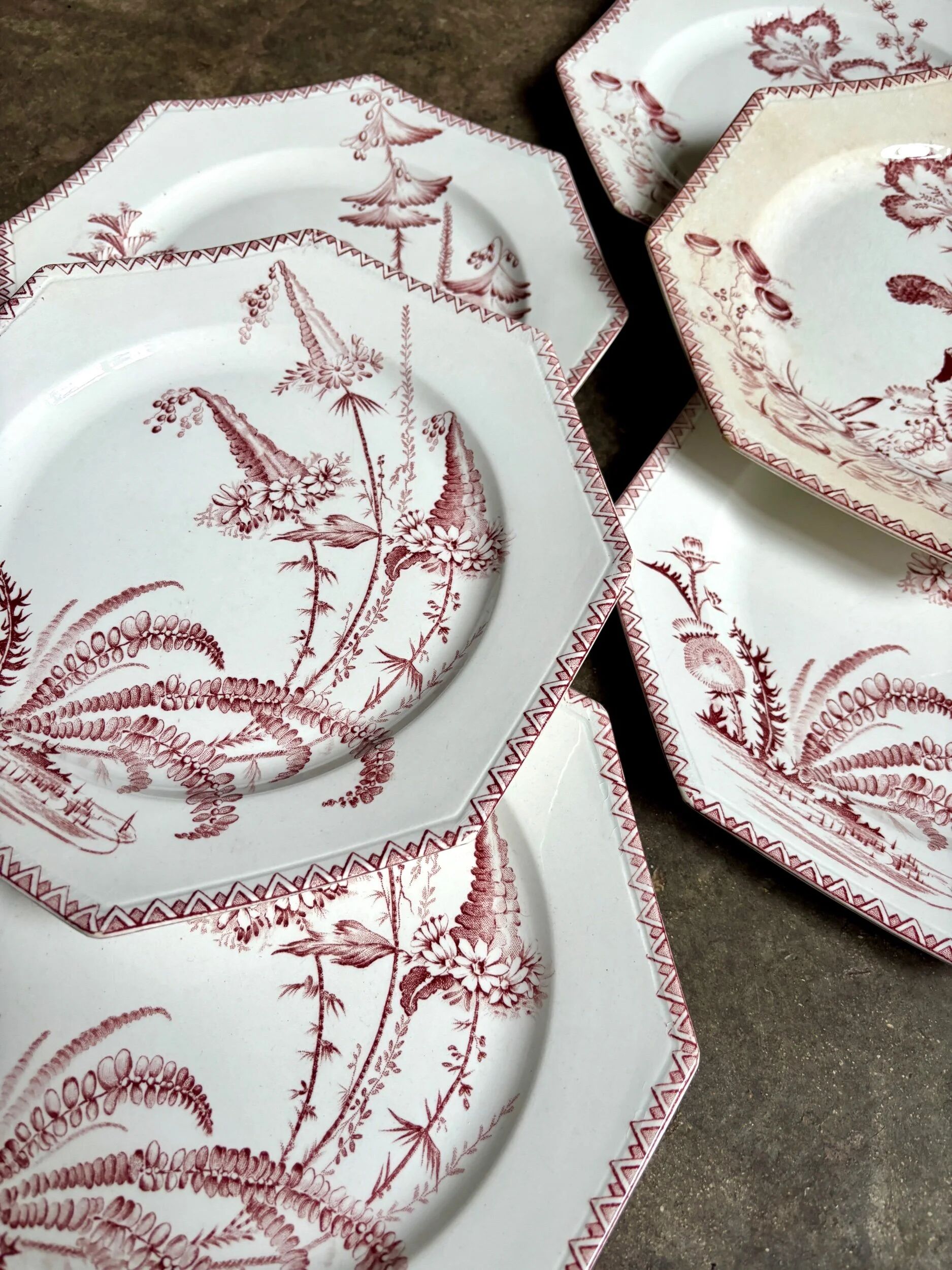 6 flat plates in ironstone Clairefontaine, "Indiana" service.