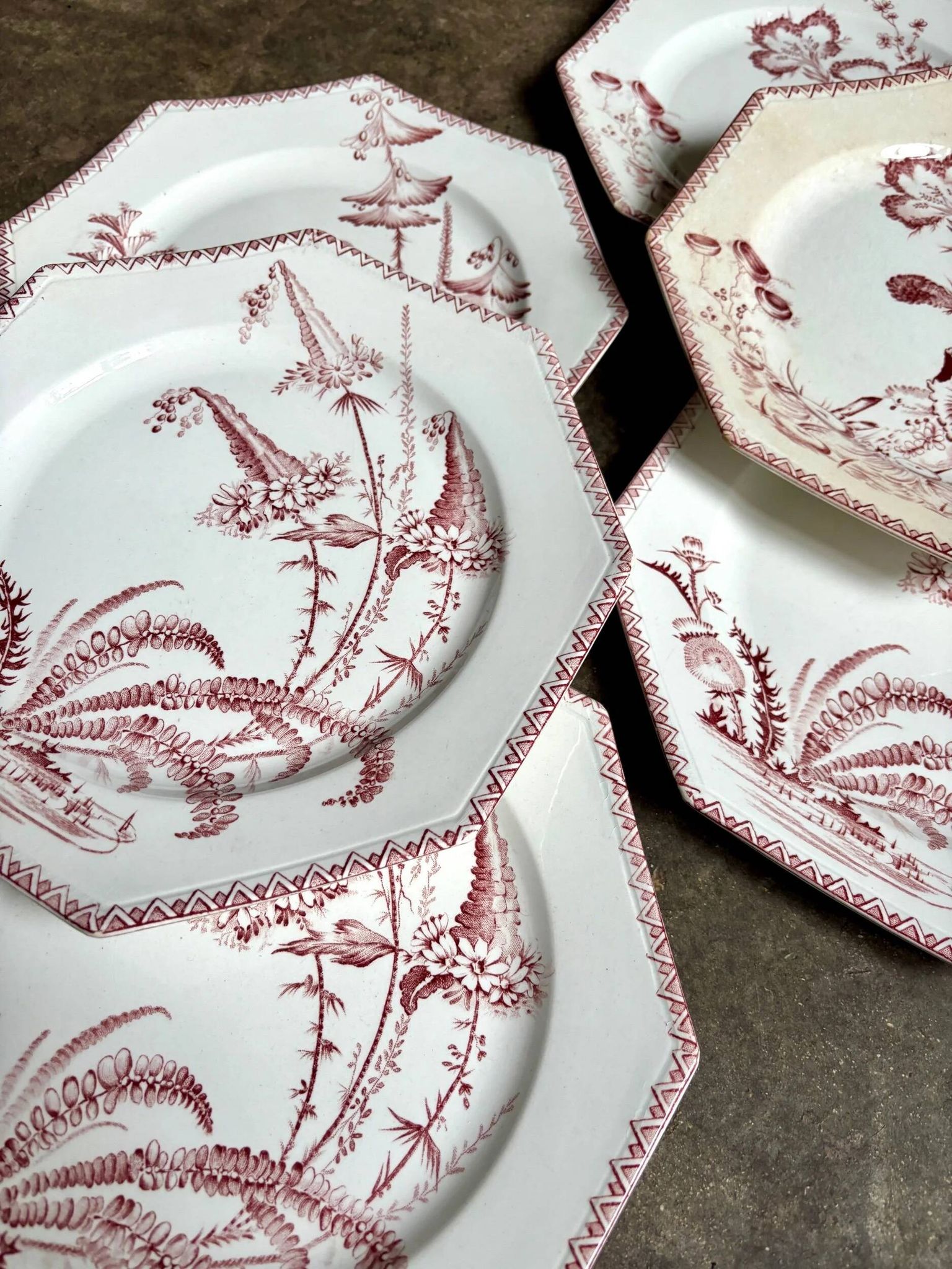 6 flat plates in ironstone Clairefontaine, "Indiana" service.