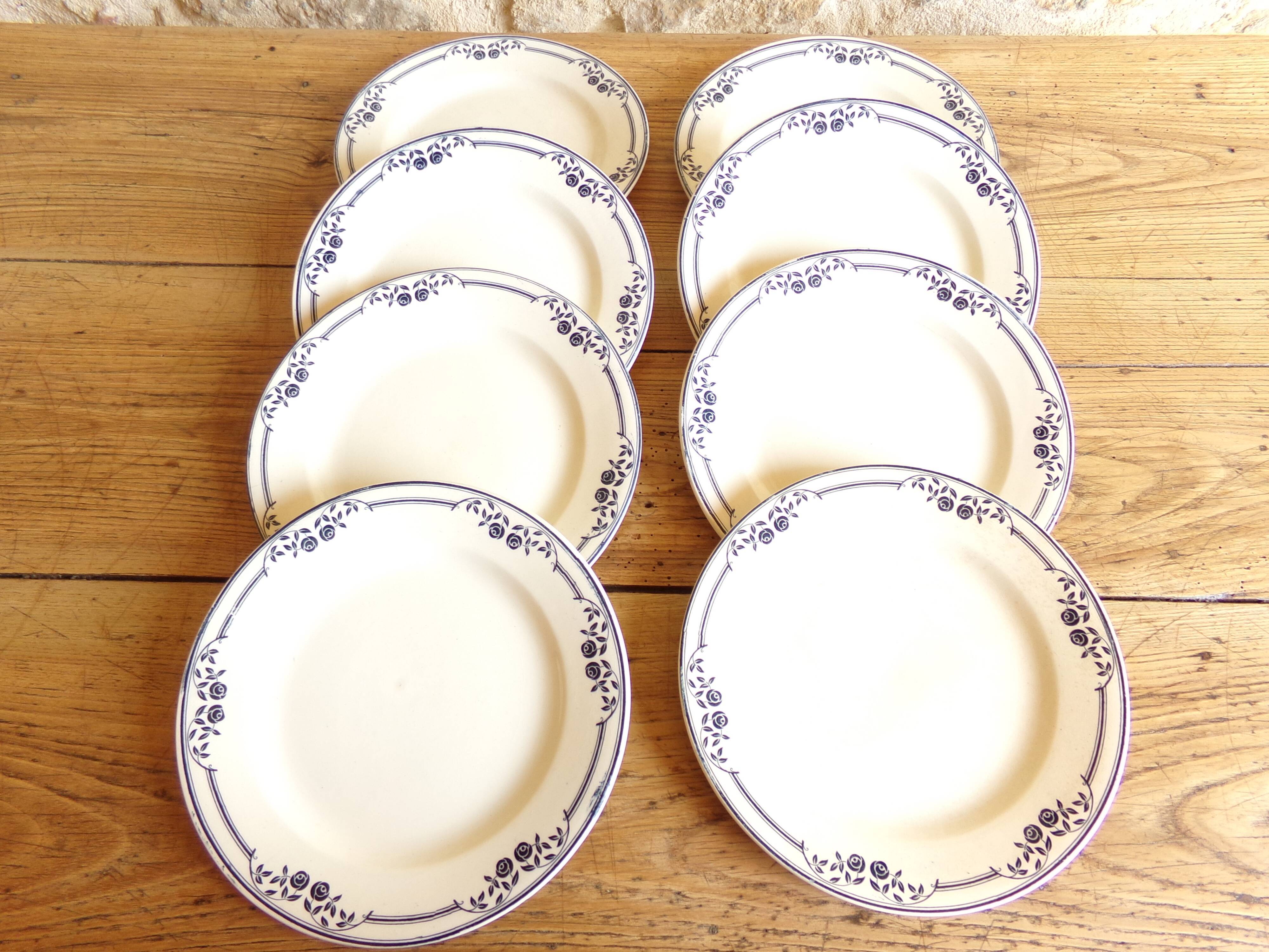 8 flat plates Salins model Saussure A.B - Iron Earth