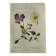 Naturalist Plate – 19th Century Botanical Engraving, Double-Sided