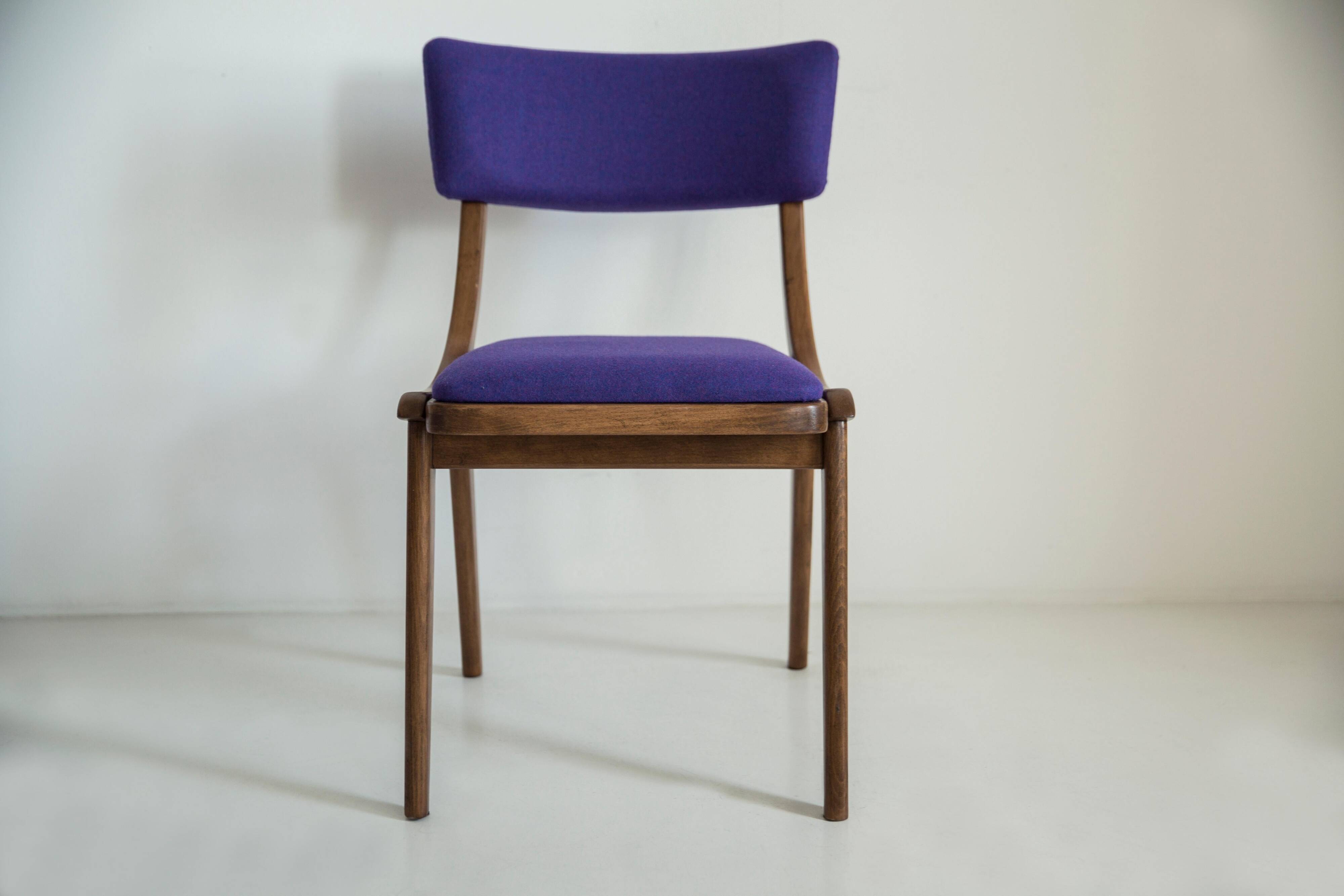 Mid-Century Modern Bumerang Chair, Purple Wool, Poland, 1960s