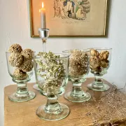 4 verres sur pied en verre soufflé artisanal de teinte verte
