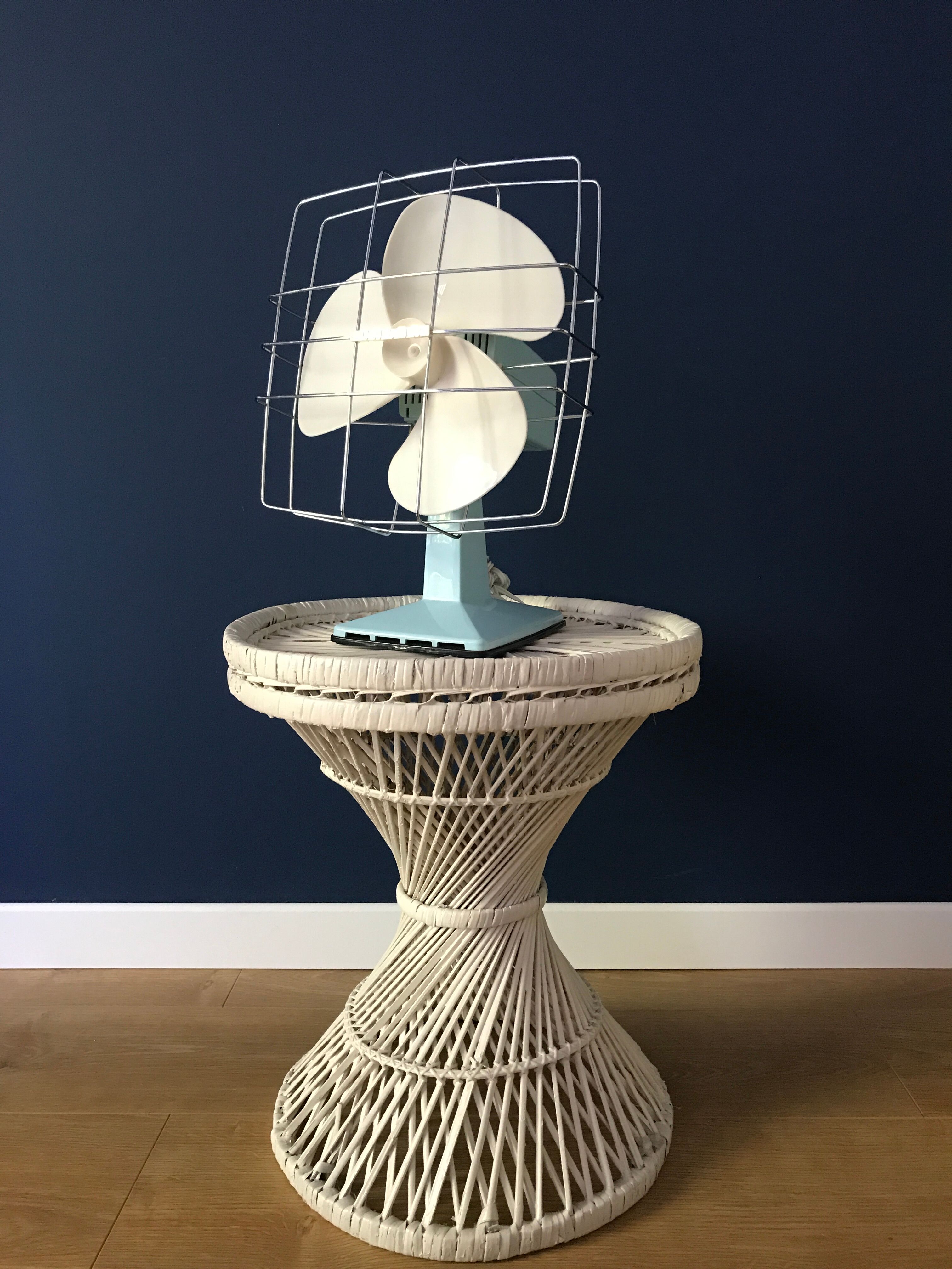 Vintage calor tilting fan mint