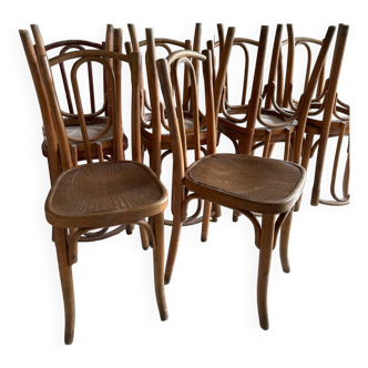 Lot de chaises Thonet