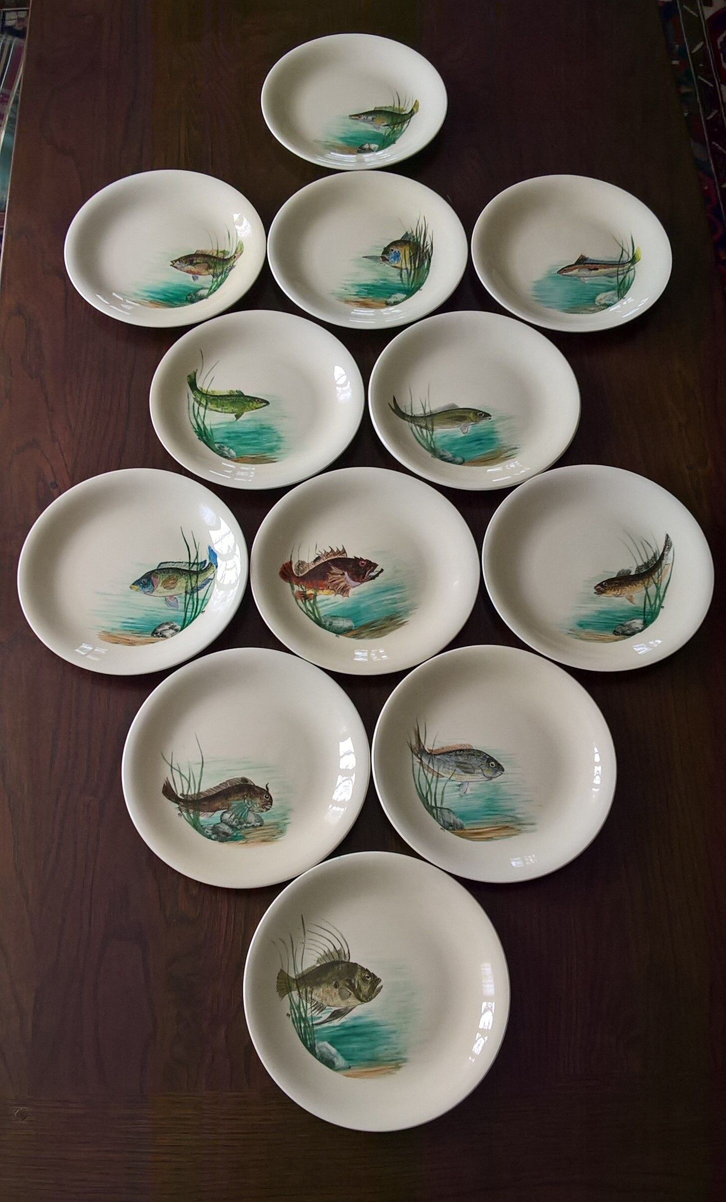 12 fish plates Proceram Cerel Aubagne, 1950s