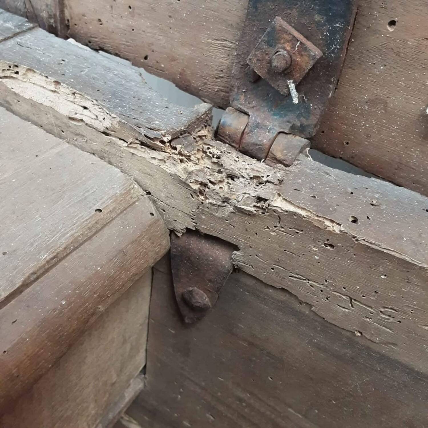 Truly antique 19th-century large oak chest blanket/ treasure chest